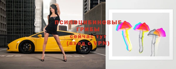 твердый Арсеньев