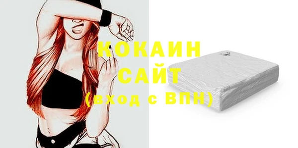 твердый Арсеньев