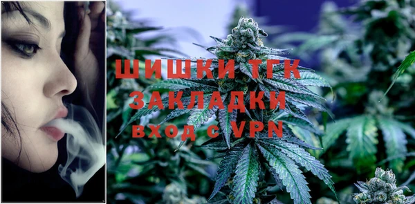 твердый Арсеньев