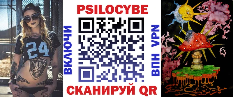 мега вход  Междуреченск  Псилоцибиновые грибы Psilocybe 